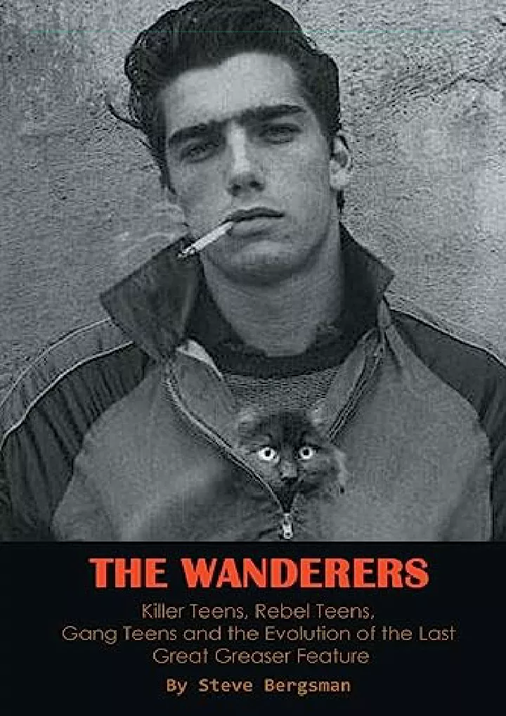 the wanderers killer teens rebel teens gang teens