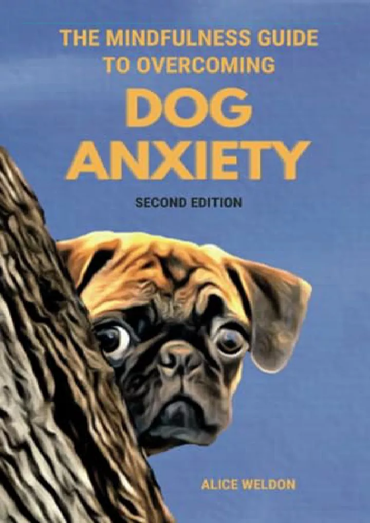 the mindfulness guide to overcoming dog anxiety