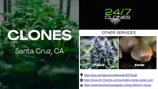 Clones Santa Cruz, CA