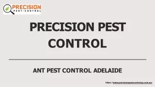 Pre Purchase Timber Pest Inspections | Precision Pest Control in AU