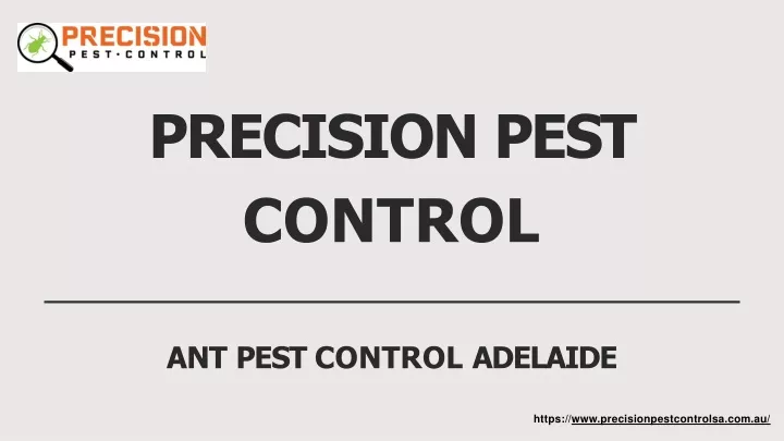precision pest control