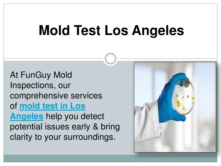 mold test los angeles