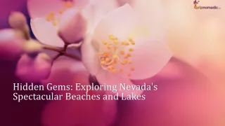 Exploring Nevada's Spectacular Beaches and Lakes