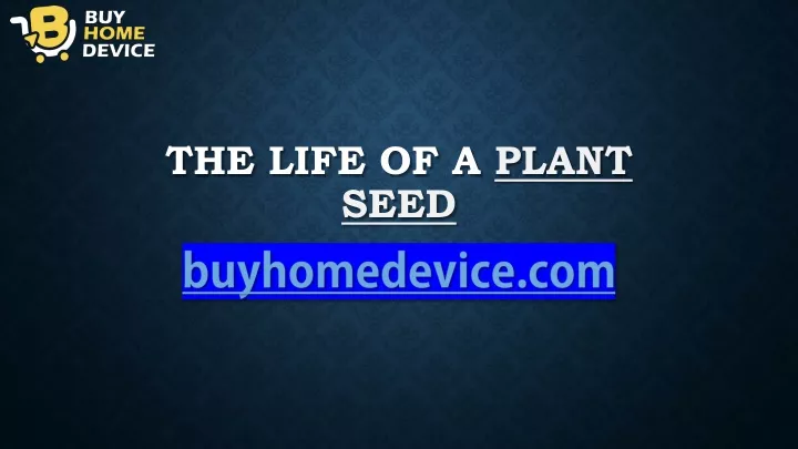 the life of a plant seed