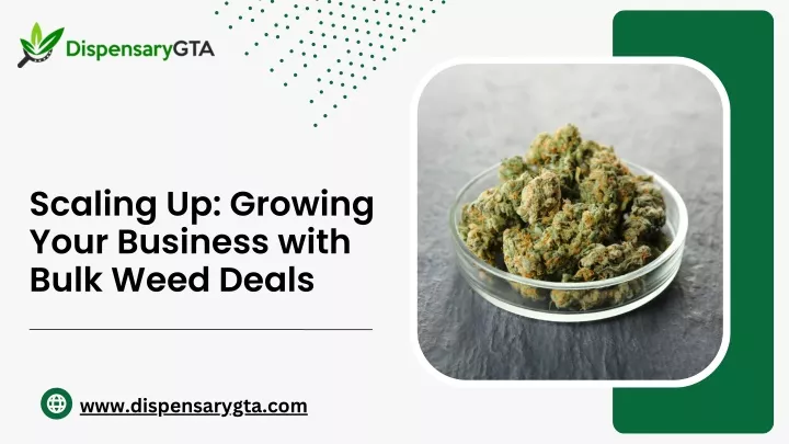 scaling up growing your business with bulk weed