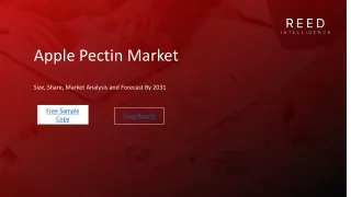 Apple Pectin Market