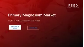 Primary Magnesium Market