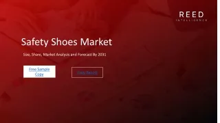 Safety Shoes Market