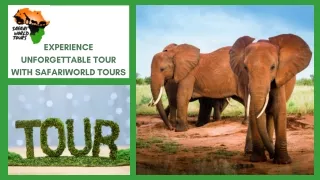 Experience Unforgettable Tour with SafariWorld Tours