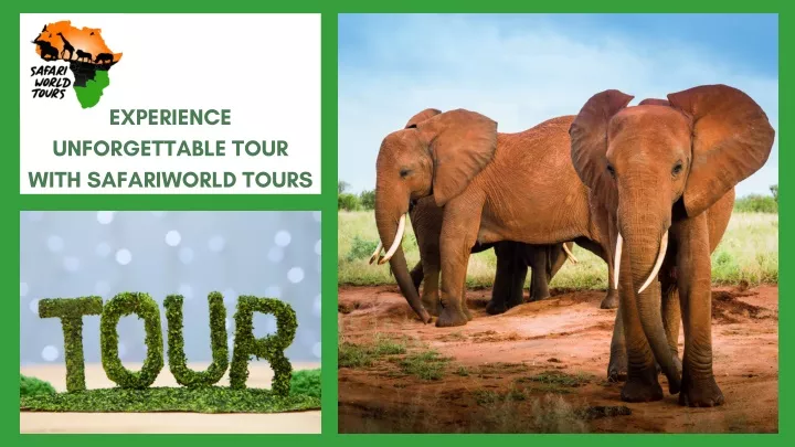 experience unforgettable tour with safariworld