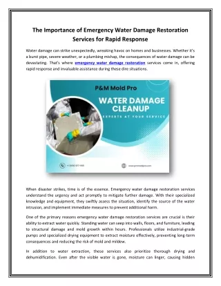 The Importance of Emergency Water Damage Restoration Services for Rapid Response