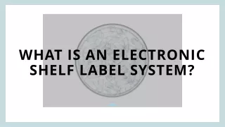 what is an electronic shelf label system