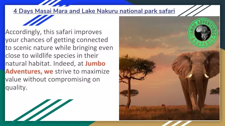 4 days masai mara and lake nakuru national park safari