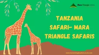 Tanzania Safari- Mara Triangle Safaris