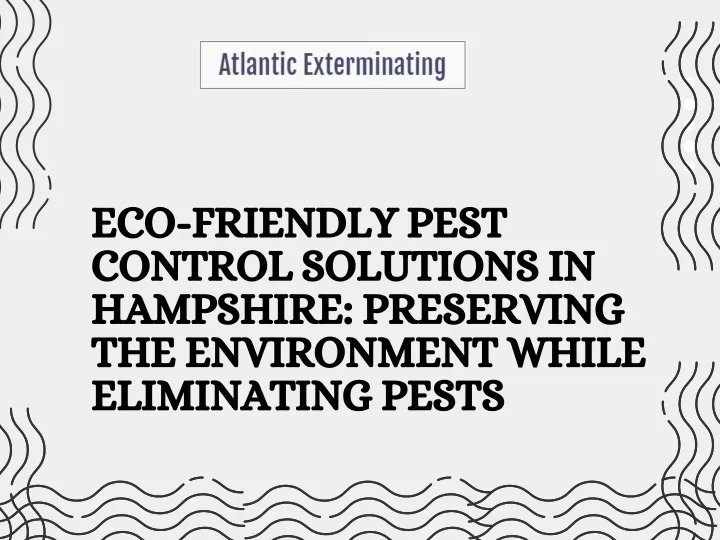eco friendly pest control solutions in hampshire
