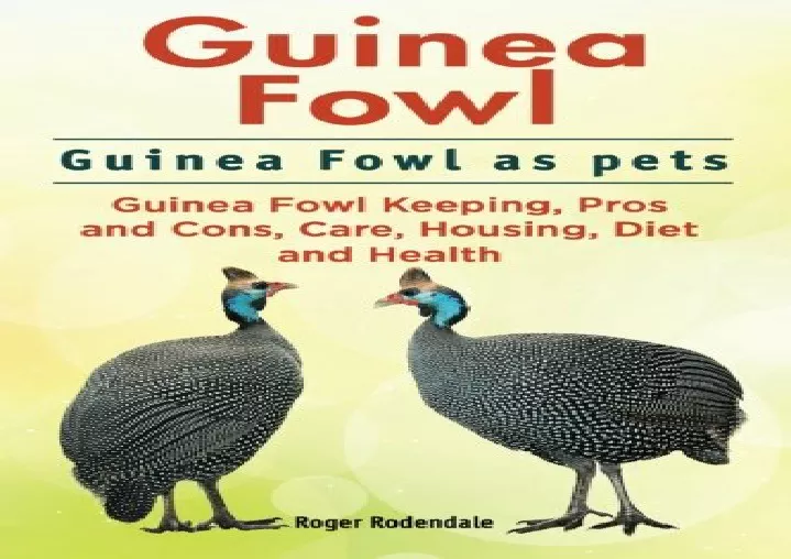 Guinea Fowl. Guinea Fowl as pets. Guinea Fowl Keeping, Pros and Cons, Care,  Housing, Diet and Health.