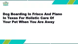 Dog Boarding In Frisco And Plano In Texas For Holistic Care Of Your Pet When You Are Away