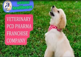 No.1 Veterinary PCD Pharma Franchise Company | Vetsonhealthcare