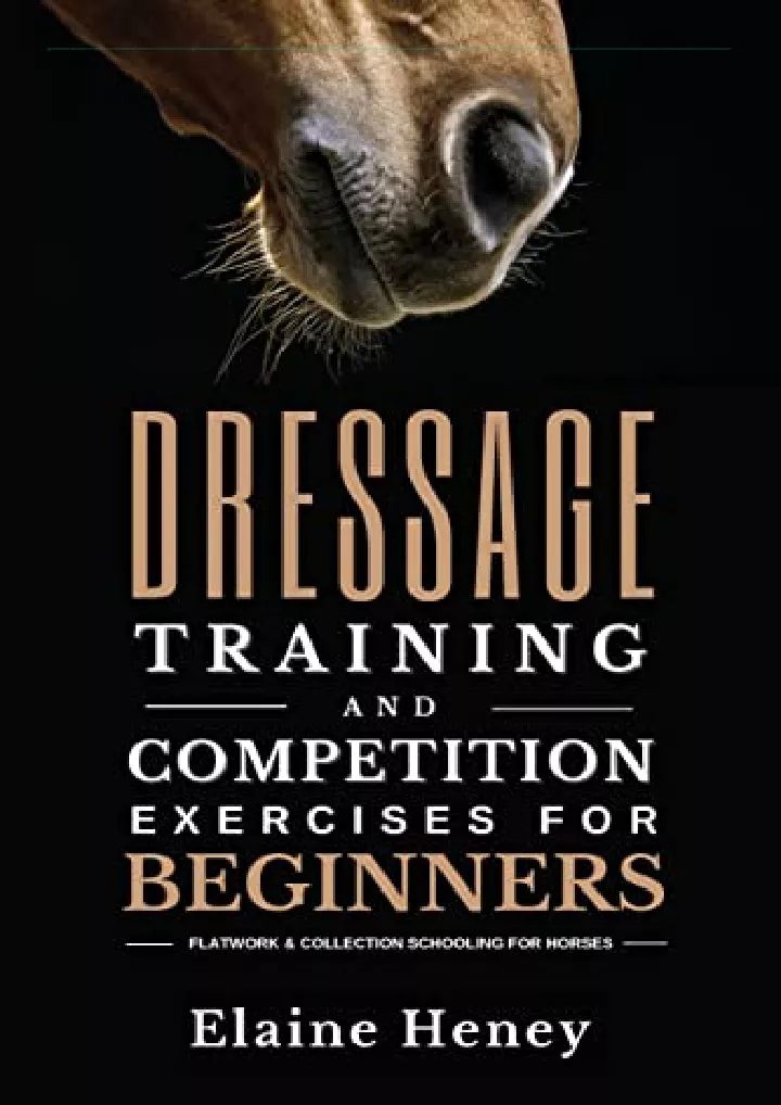 dressage training and competition exercises