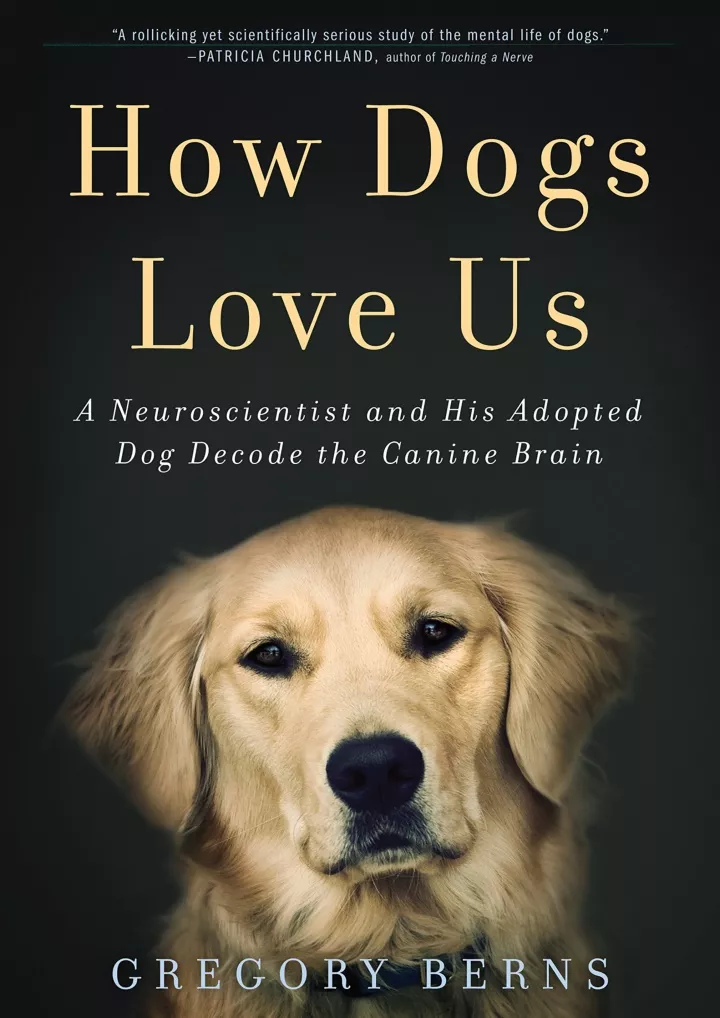 how dogs love us a neuroscientist and his adopted