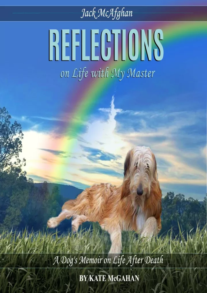 jack mcafghan reflections a dog s memoir on life