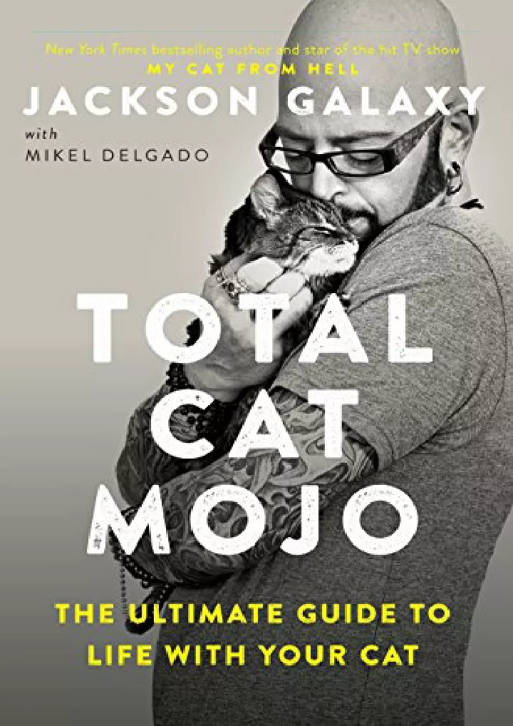 total cat mojo the ultimate guide to life with