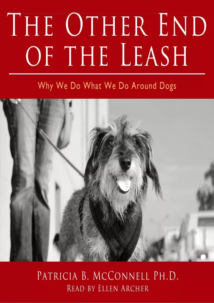 the other end of the leash why we do what