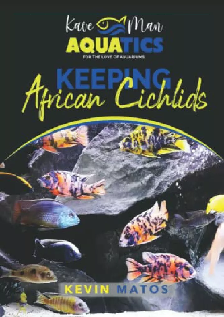 keeping african cichlids complete beginners guide