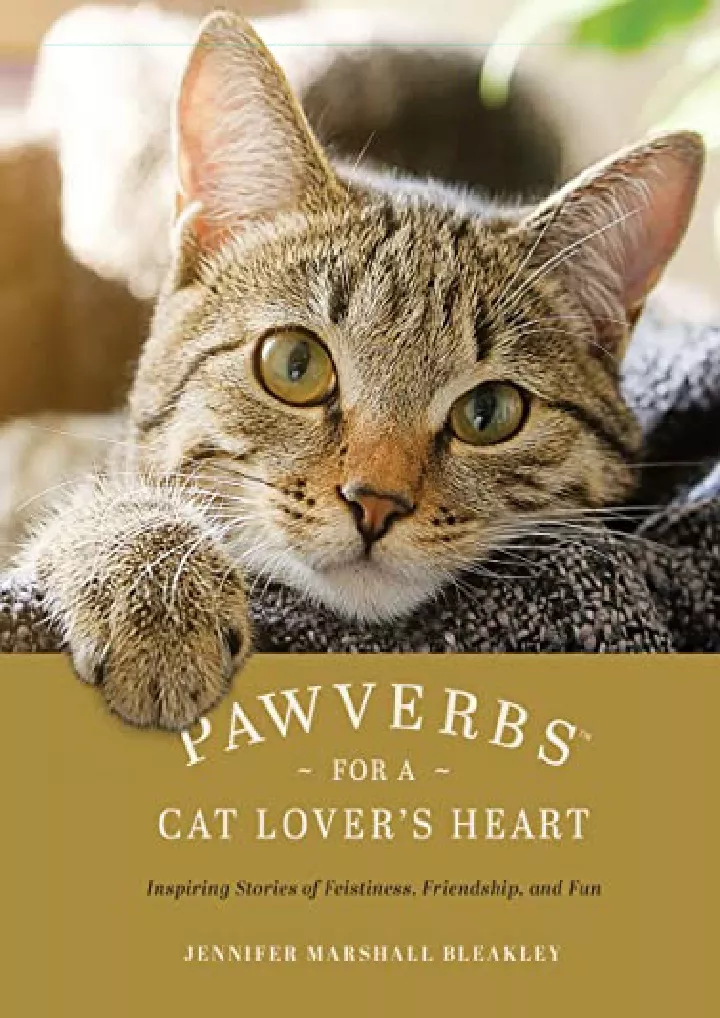 pawverbs for a cat lover s heart inspiring