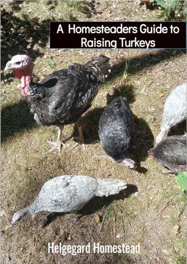 a homesteaders guide to raising turkeys download