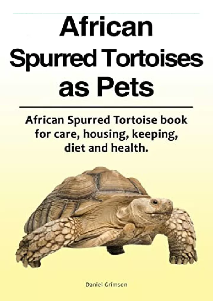 african spurred tortoises as pets african spurred