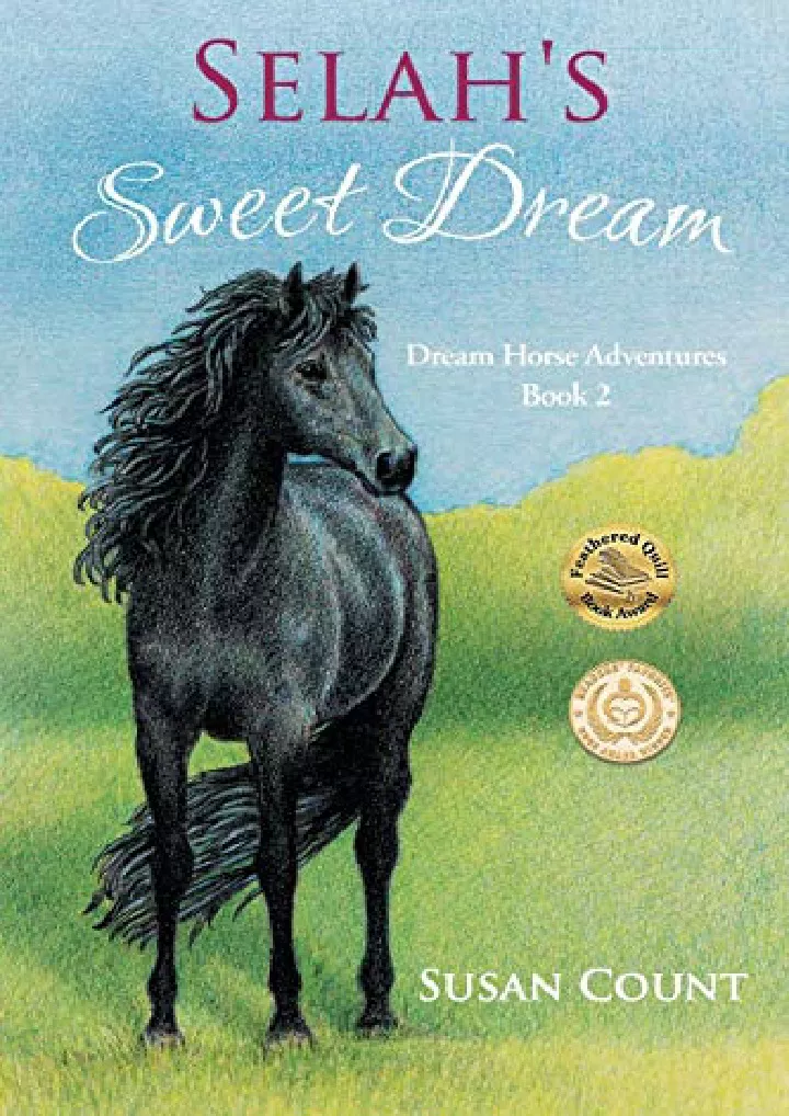 selah s sweet dream dream horse adventures