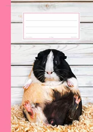 PDF Guinea Pig Composition Notebook: Lazy Guinea Pig Notebook With 120 Wide Rule