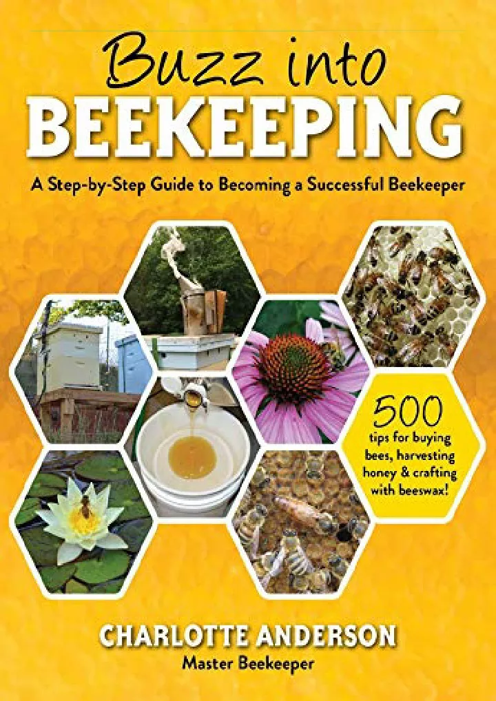 buzz into beekeeping a step by step guide