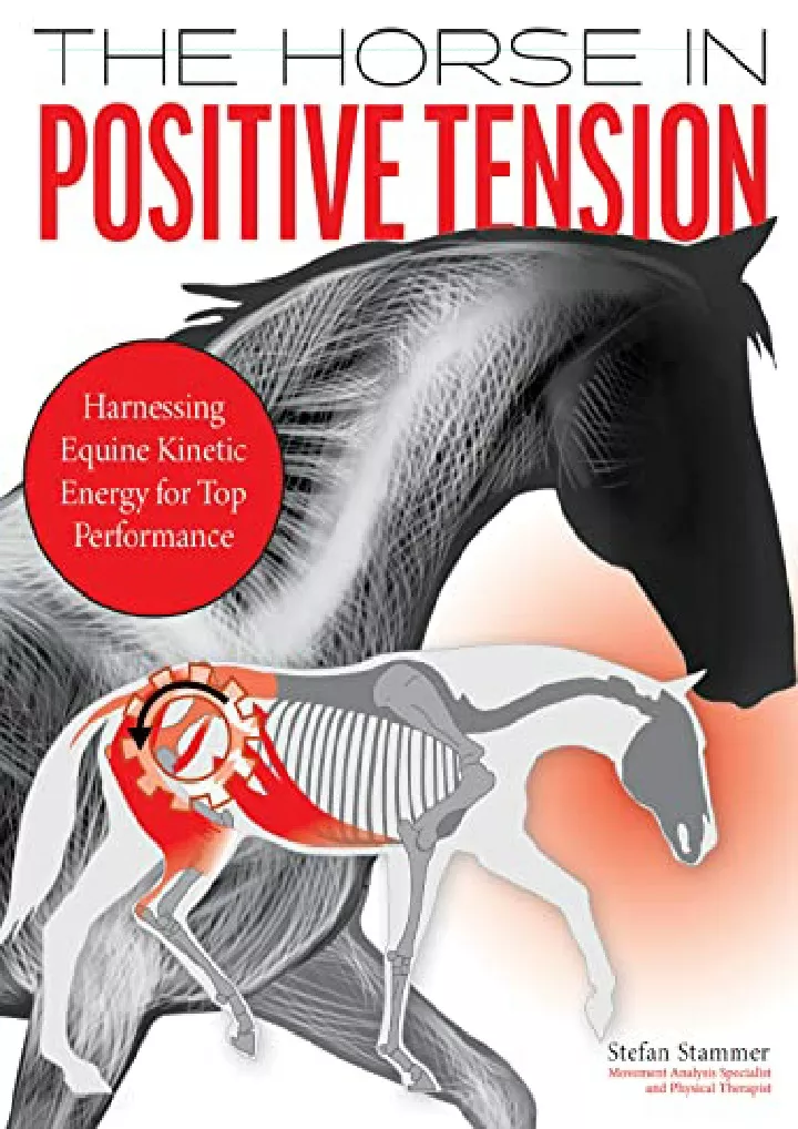 the horse in positive tension harnessing equine