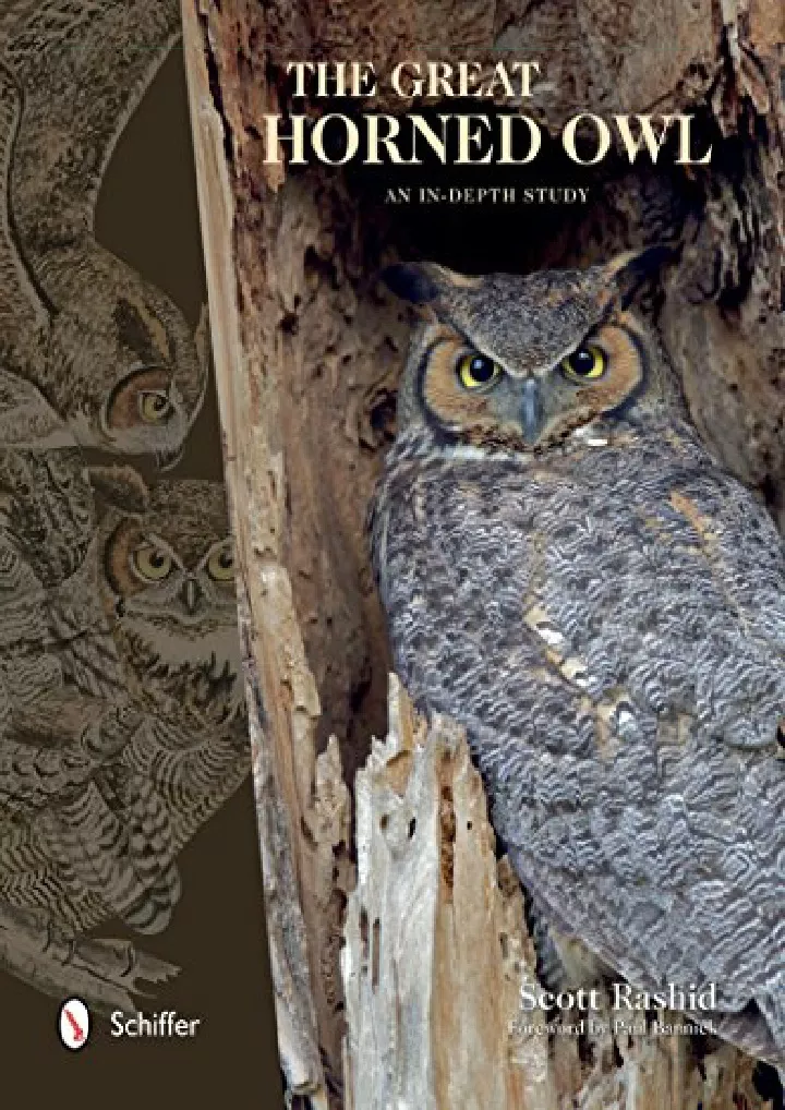 the great horned owl an in depth study download