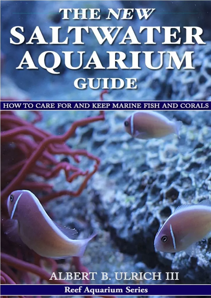 the new saltwater aquarium guide how to care