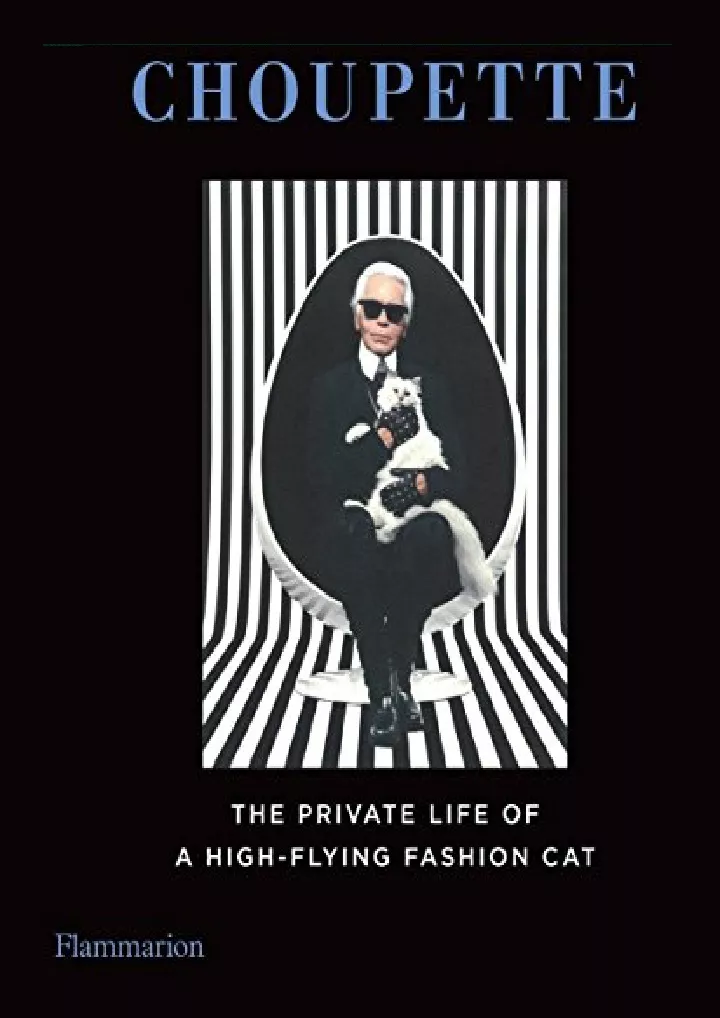 choupette the private life of a high flying
