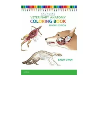 Download PDF Veterinary Anatomy Coloring Book full