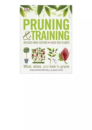 Kindle online PDF Pruning and Training Revised New Edition What When and How to Prune free acces