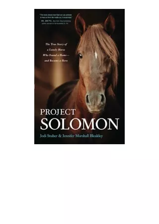 Download PDF Project Solomon The True Story of a Lonely Horse Who Found a Homeand Became a Hero unlimited