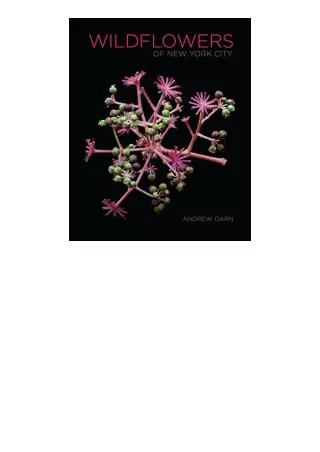 Kindle online PDF Wildflowers of New York City for ipad