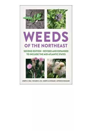 Kindle online PDF Weeds of the Northeast unlimited