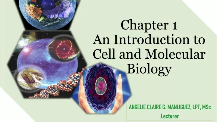 chapter 1 an introduction to cell and molecular