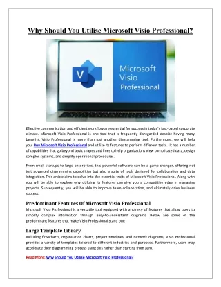 Why Should You Utilise Microsoft Visio Professional