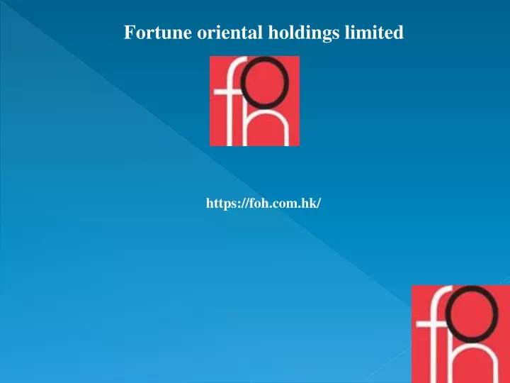 fortune oriental holdings limited