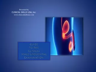 Guide to Clinical Male Urogenital Exam-Slideserve (student version)