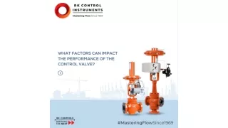 What Factors Can Impact the Performance of the Valve