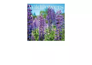Download PDF Wildflowers 2023 Wall Calendar full