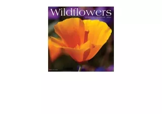 Download Wildflowers 2024 12 x 12 Wall Calendar free acces